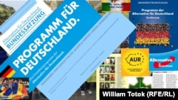 Afinităţi elective AUR - AfD 