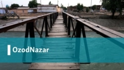 Биринчи хоним Зироат Ҳошимова халқ билан мулоқот қилсин