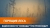 В России горят сотни тысяч гектаров леса