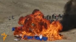 Хроника мировых событий, 12 ноября