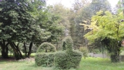 ლაგოდეხში „ხის კენწეროების ბილიკი“ მოეწყობა