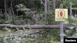 Російсько-естонський кордон