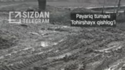 «В селах Узбекистана люди вынуждены ходить по грязи...»