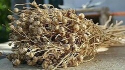 Aşgabatda okuwçylaryň ene-atalaryndan ýüzärlik satyn almak üçin pul ýygnalýar