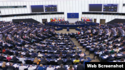 რეზოლუციას მხარი 460-მა ევროპარლამენტარმა - დამსწრეთა 71%-მა - დაუჭირა.