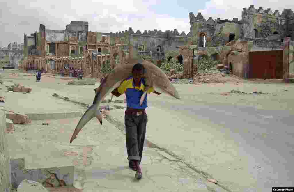 1-е место / Повседневная жизнь / одиночные фотографии Фейсал Омар, Сомали, для Reuters Человек несет акулу по улицам Могадишо, Сомали, 23 сентября 2010.  