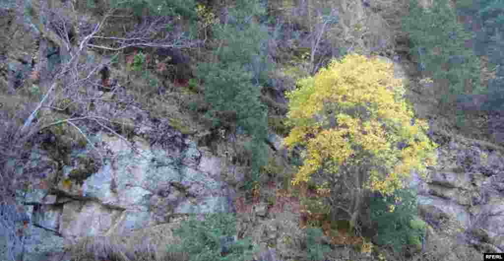 Осень в горах Иссык-Куля #14