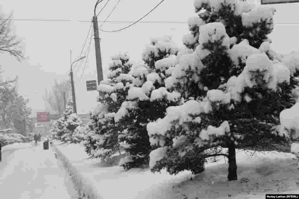 Ныне снега в Алматы выпало больше, чем за всю зиму.