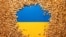 FILE PHOTO: Illustration shows Ukrainian flag and grain