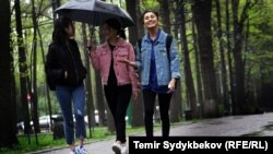 Иллюстрациялык сүрөт.