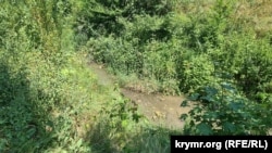 Річка Малий Салгір у Сімферополі поблизу вулиці Будьонного. 19 липня 2025 року