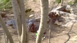 "Обрезон"-и наврӯзии аҳолии Навобод