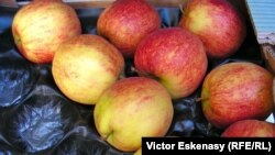 În luna august, Rosselhoznadzor a limitat importul în Federația Rusă a produselor vegetale moldovenești.