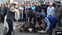 Иллюстрациялык сүрөт.