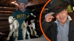 «Війна додала чимало викликів»: Гуцульщина і її унікальність. Як фермери дають собі раду і чи овечий бізнес розвивається?