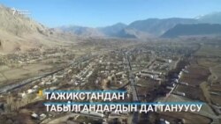 Түркия катаал карантин киргизди