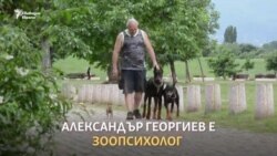 Зоопсихолог: "Не е виновно кучето, а стопанинът му"