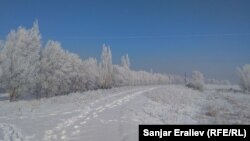 Чүй облусундагы Милянфан айылы. 