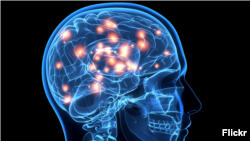 Иллюстративное фото.