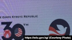 Иллюстрациялык сүрөт.