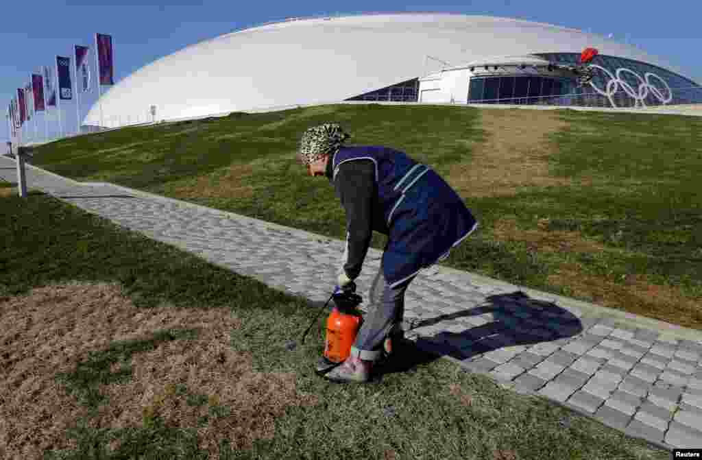 Озеленение перед Большим ледовым дворцом. Снимок сделан 4 февраля.