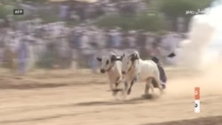 د غوايانو ځغل