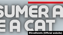 Sfatul consumatorului: fă-te pisică.