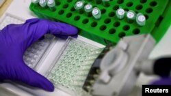 Велика Британія – Вчені готують білкові зразки для аналізу в лабораторії. Ілюстративне фото