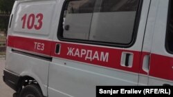 Иллюстрациялык сүрөт. 