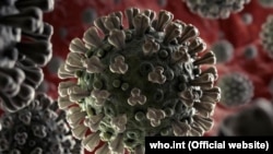 COVID-19 Coronavirus