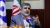 Behrouz Kamalvandi, the spokesman for Iran's atomic energy organization, has also accused the International Atomic Energy Agency of "noncooperation" and "malice.” (file photo)