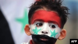 Хлопчик бере участь у мирній демонстрації на підтримку президента Сирії Башара Асада перед посольством Сирії в Софії, Болгарія, 17 квітня 2011 року