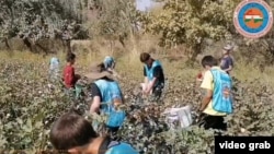 ноҳияи Ҳамадонӣ