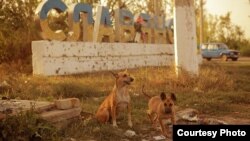 Кадр з фільму «Міна»