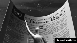 Эл аралык укук боюнча адистер Адам укуктарынын жалпы декларациясы дүйнө боюнча жарандык жана укук коргоочу уюмдардын жаралышына түрткү бергенин белгилешет.