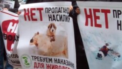 Азарову принесли вбитого собаку і поообіцяли напоїти отрутою