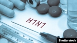 "ღორის გრიპმა" 2009 წელს პანდემია გამოიწვია.