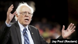 Senatori amerikan, Bernie Sanders, kandidat i demokratëve për president të SHBA-ve