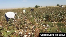 Иллюстративное фото.