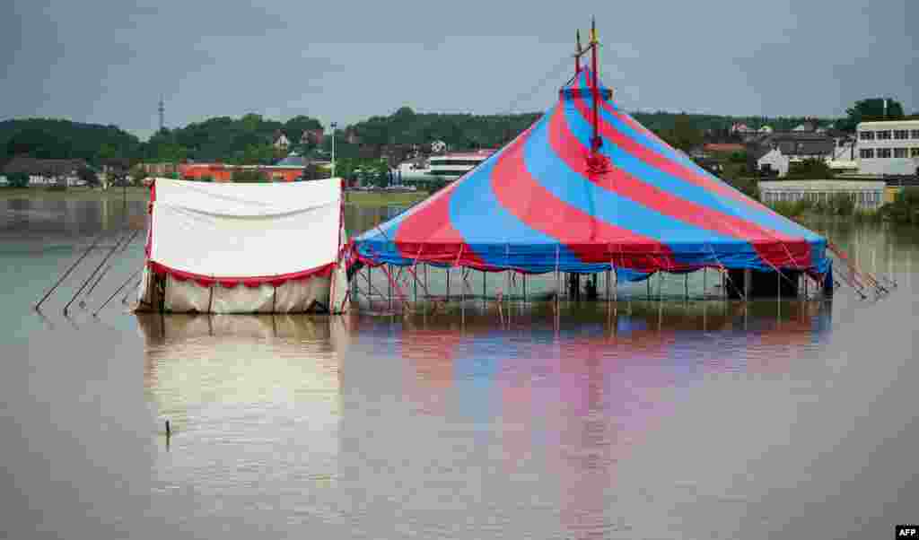 Njemačka, Aisch, 2. juni 2013. Foto: AFP / David Ebener 