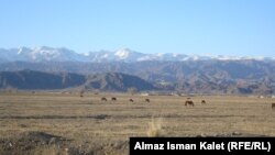 Кочкор району