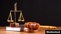 Ilustrim(©Shutterstock)