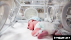 Иллюстрациялык сүрөт.