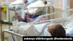 Иллюстрациялык сүрөт.