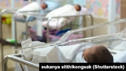 Иллюстрациялык сүрөт.