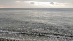 რა ვერსიები ვრცელდება ლიბიაში დაღუპული დავით რაზმაძის შესახებ