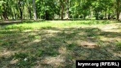 Потрісканий від посухи ґрунт у Гагарінському парку Сімферополя, травень 2025 року