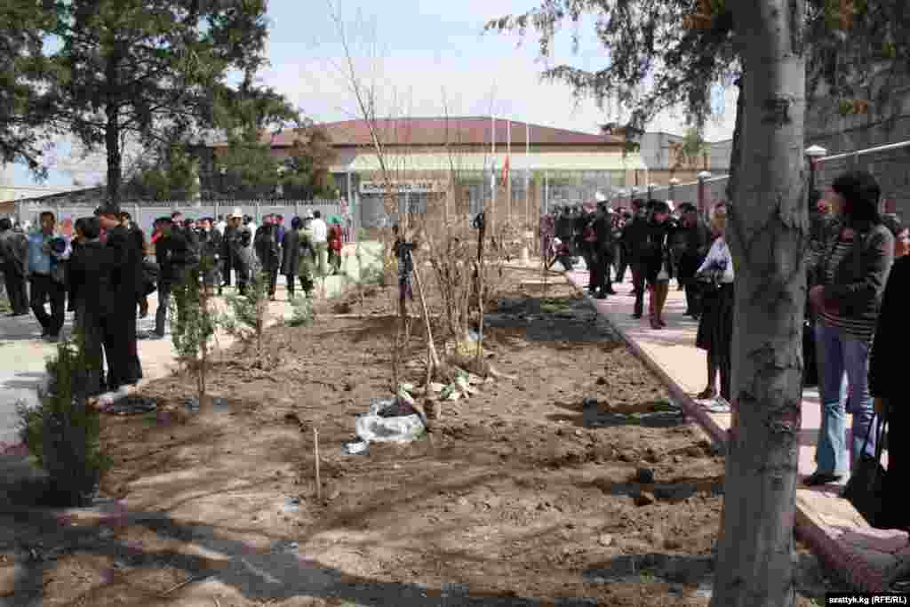 Kyrgyzstan – A hike to honor the memory of April victims, Bishkek, 07Apr2011 - Бийлик жетекчилери “Форумдун” алдына шейит кеткендердин элесине арнап, чынар теректерди отургузушту.