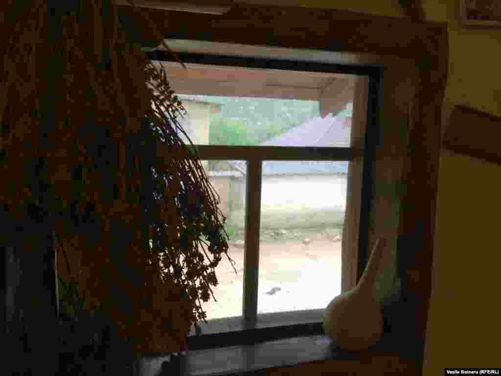 Busuiocul purifică şi protejează