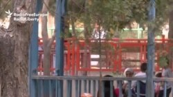 A Garden Of Their Own: Women Find Refuge From Men In Kabul